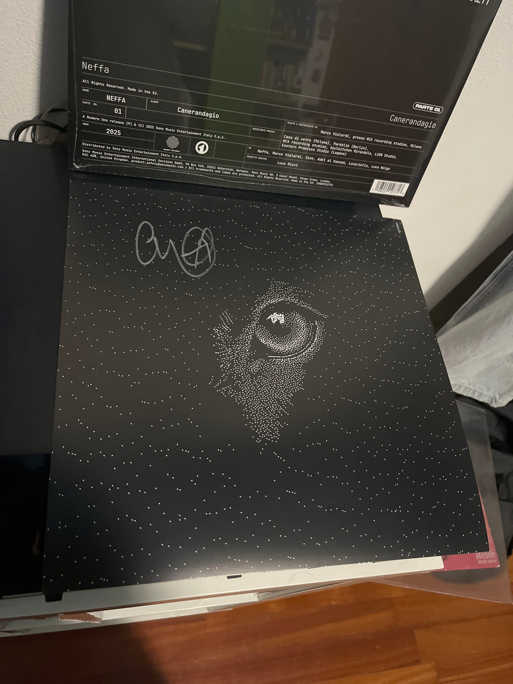 Cane randagio pt.1, autografato sparkle (Neffa)