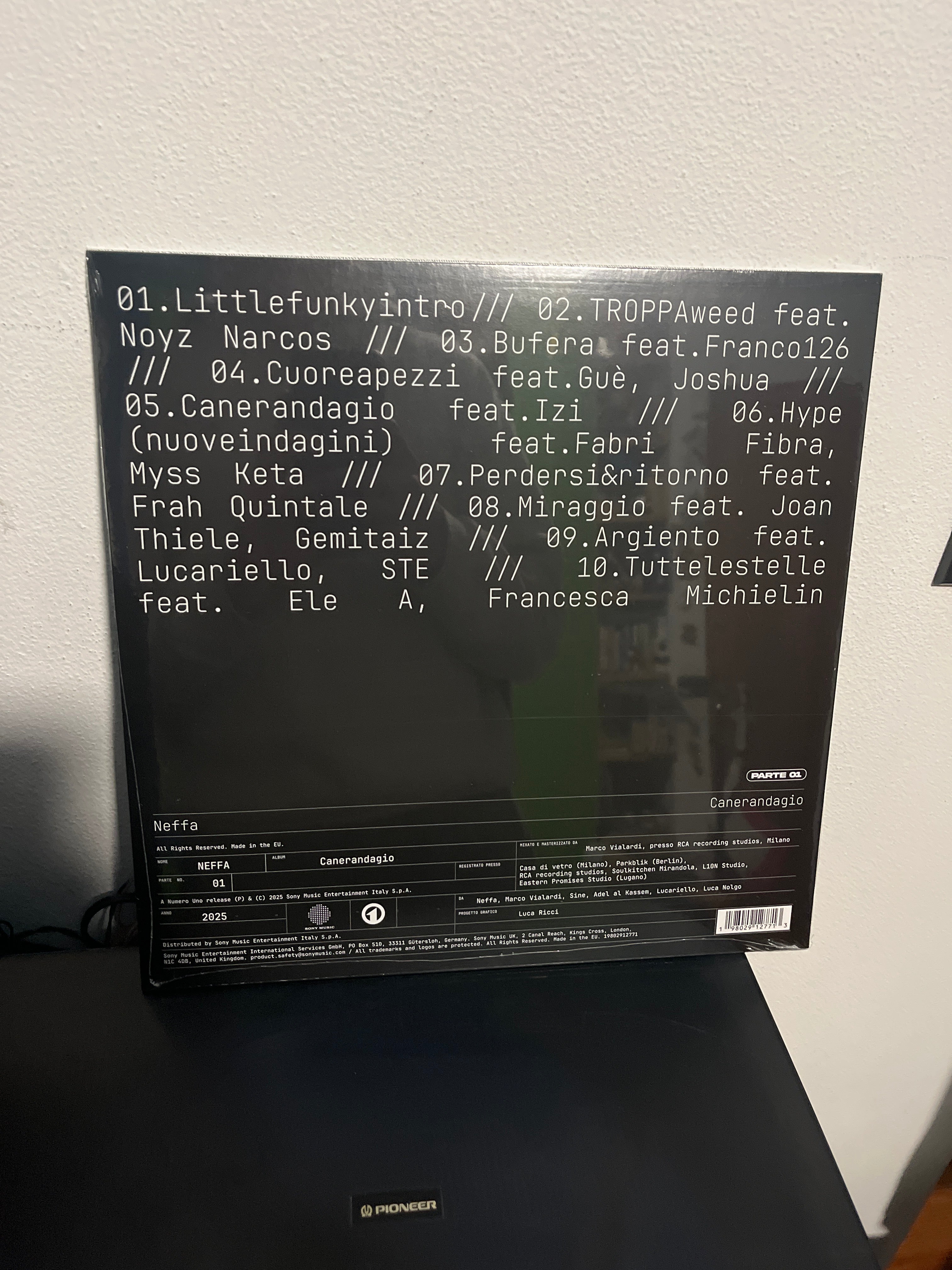 Cane randagio pt.1, autografato sparkle (Neffa)