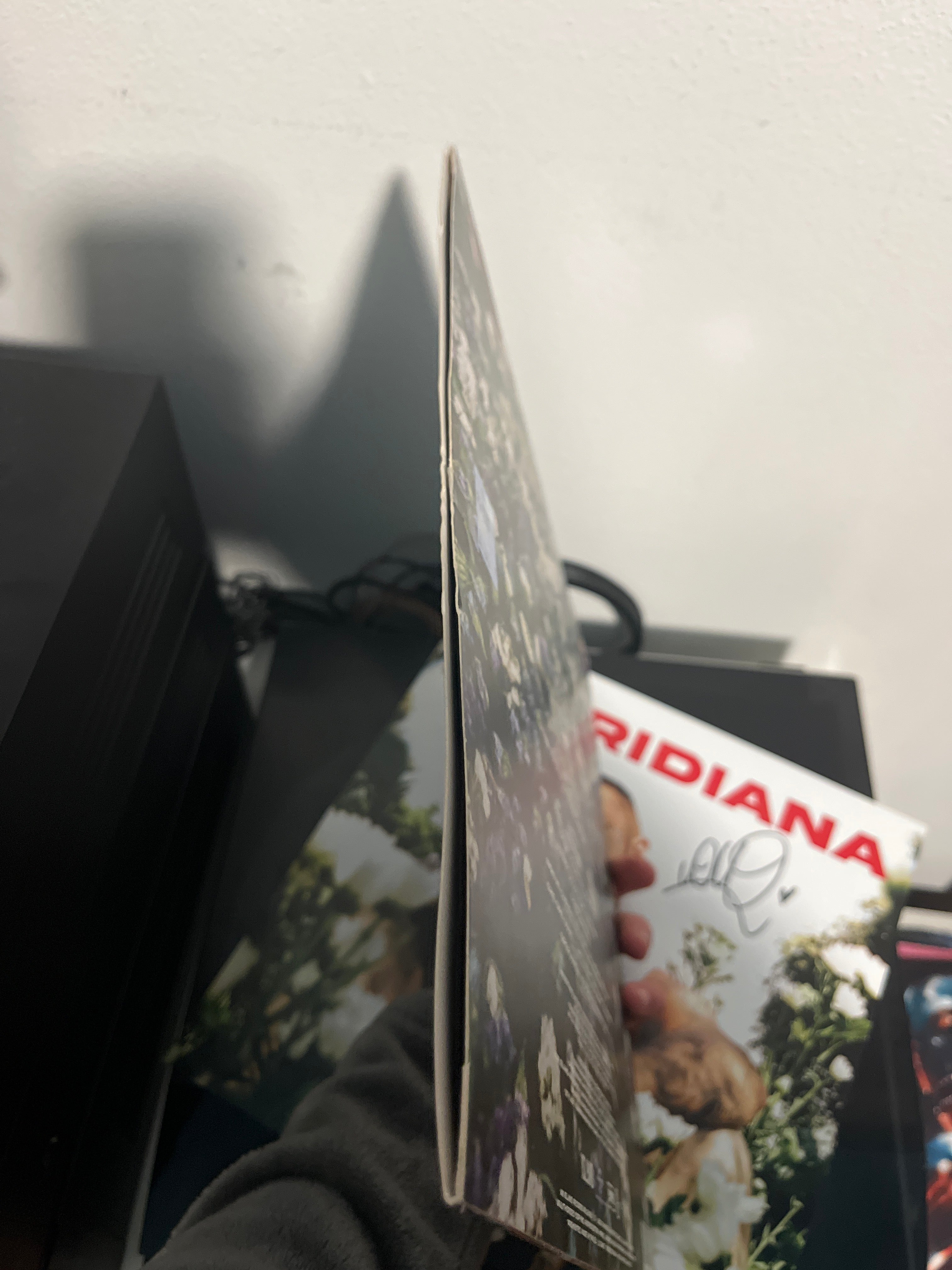 Floridiana, autografato (Coco)