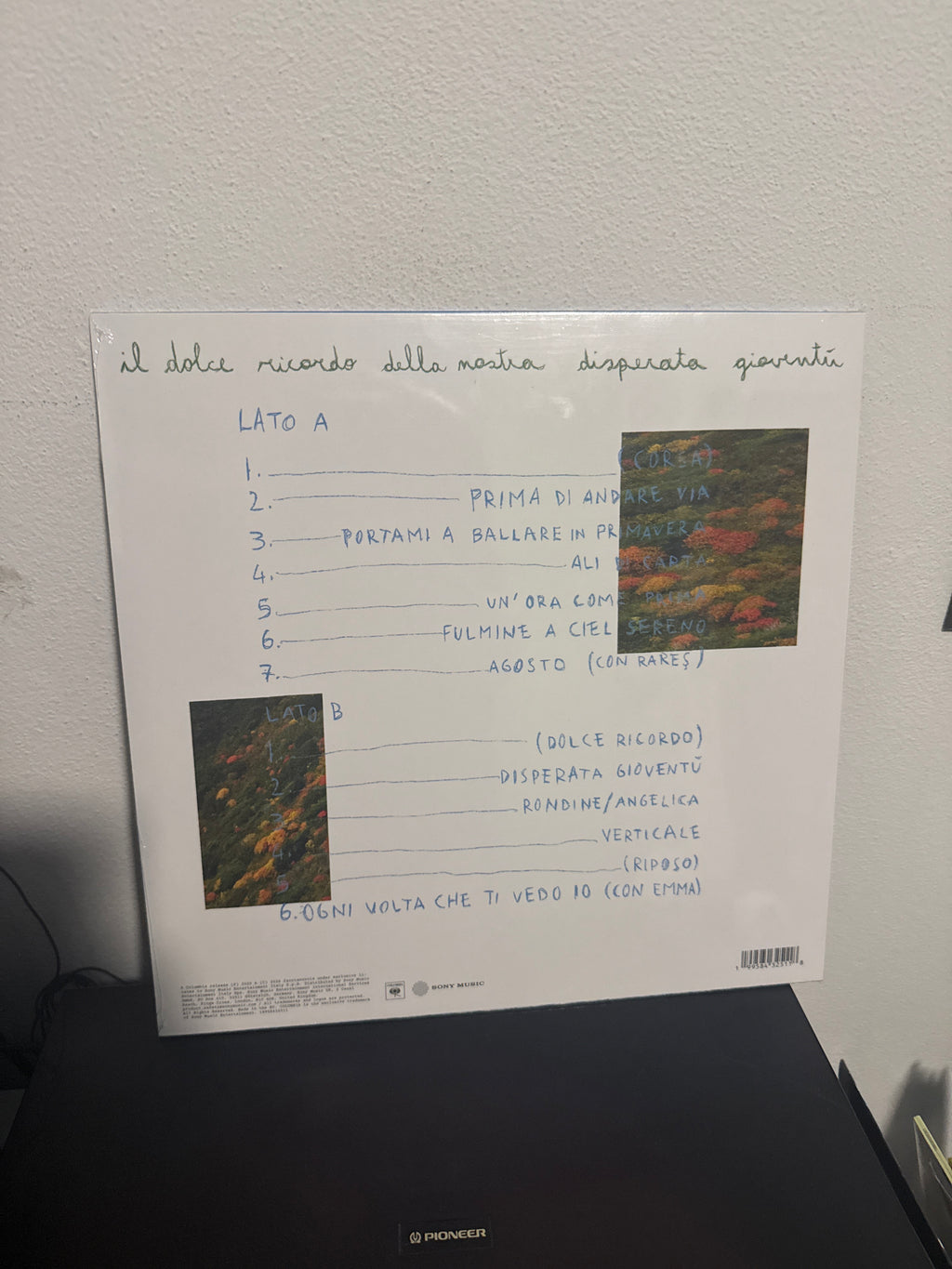 Il dolce ricordo della nostra disperata gioventù, autografato (Faccianuvola)