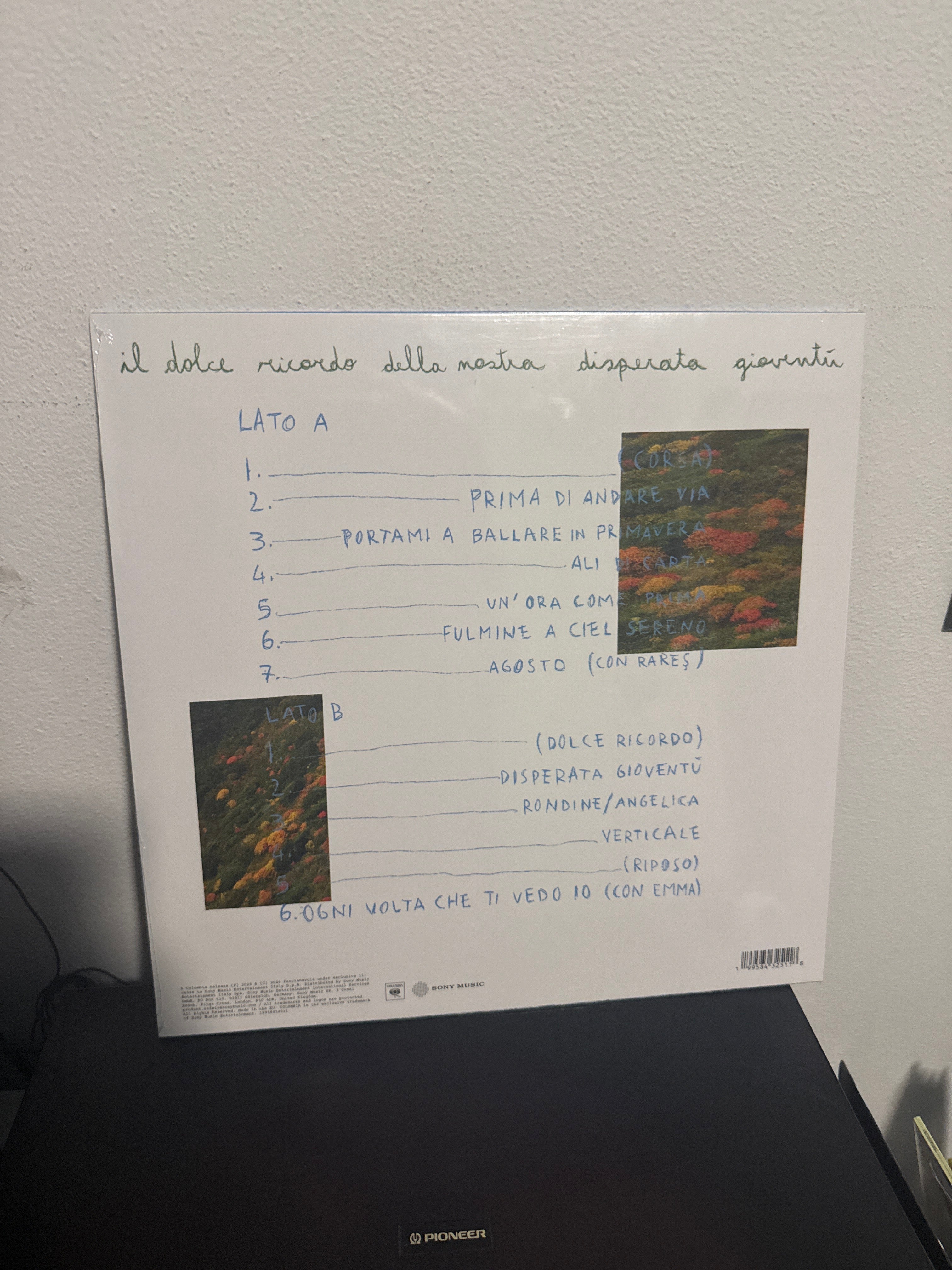 Il dolce ricordo della nostra disperata gioventù, autografato (Faccianuvola)