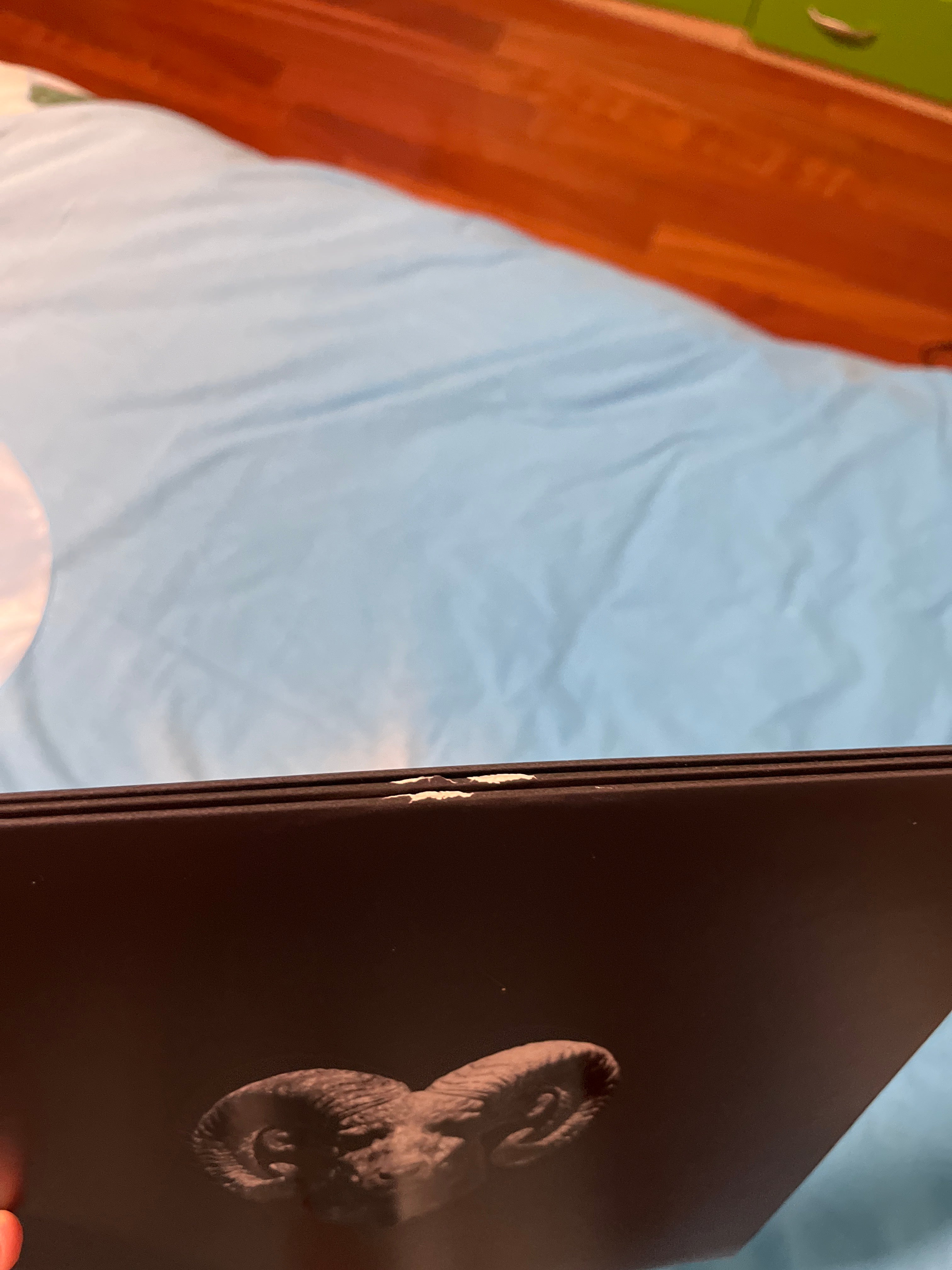 Ferite, autografato, seghettato (Capo plaza)