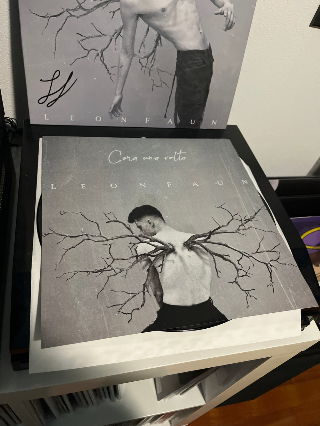 C’era una volta, autografato (Leon faun)